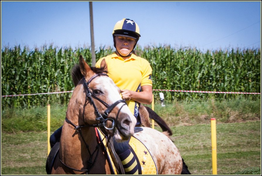 Mounted Games 011